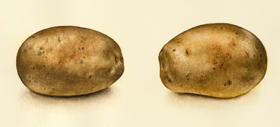 Potatoslider